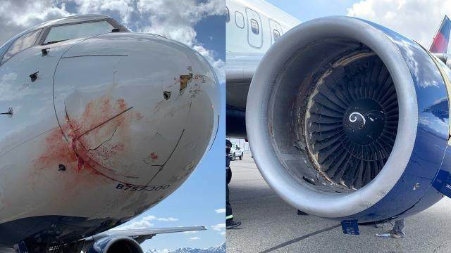 世界杯高清版本-爵士将帅回忆空中惊魂：引擎爆炸 飞机剧烈摇晃